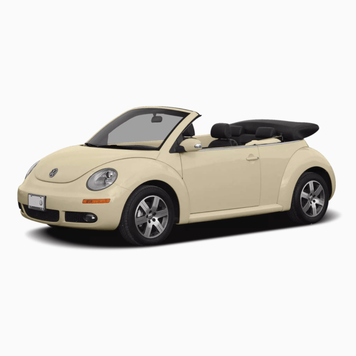 Volkswagen Beetle 2003-2010 (1)